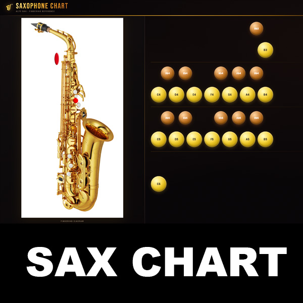 Chart Notes